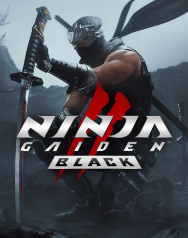 Ninja Gaiden 2 Black